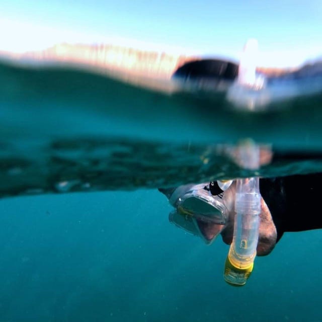 Gran Canaria: Snorkeling Trip - The pre-snorkel briefing: how to get confident quickly