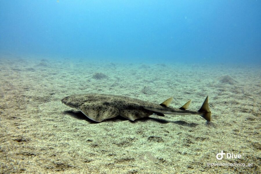 Gran Canaria: Try Scuba Diving for Beginners - Equipment, insurance, and what you pay extra for