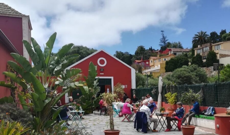 Gran Canaria: Winery Tour, Wine Museum, and Tasting - The 100-Year-Old Stone Lagares: Grapes Trodden in a Different Era