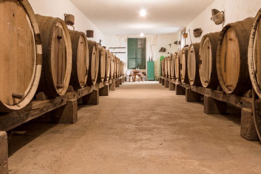 Gran Canaria: Winery Tour, Wine Museum, and Tasting - The Wine Museum in Gran Canaria: Old Equipment, Clear Comparisons