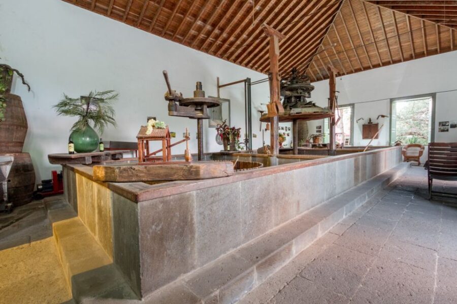 Gran Canaria: Winery Tour, Wine Museum, and Tasting - Cellar Time: Wooden Casks and Fermentation Aromas