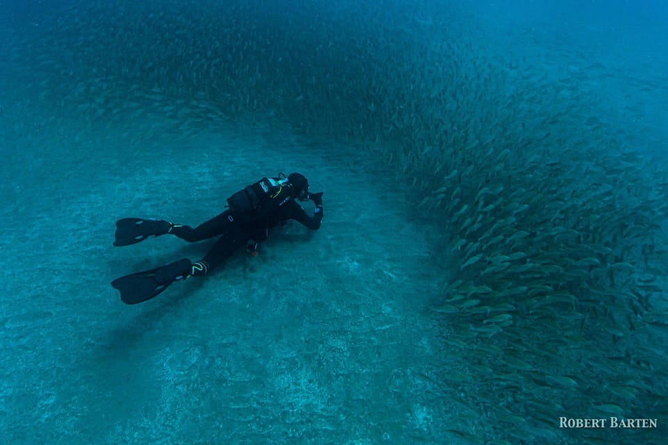 Gran Canaria:Live an Adventure and Learn to Dive with Expert - Gear time: what you’ll get and how to avoid common first-trip mistakes
