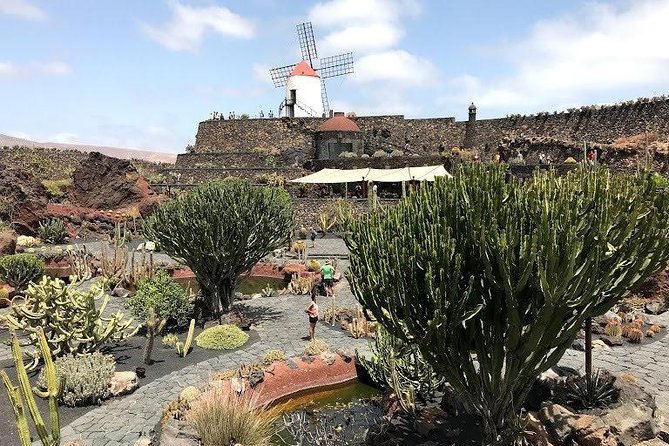 Grand Tour Lanzarote Experience : The Landscape Footprint - Timanfaya National Park: heat demos plus the rules of the volcano route