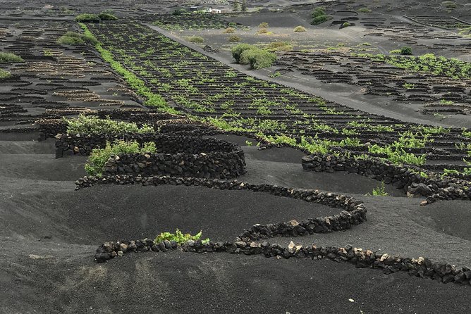 Grand Tour Lanzarote Experience : The Landscape Footprint - The day’s pacing: how you get “highlights” without feeling wrecked