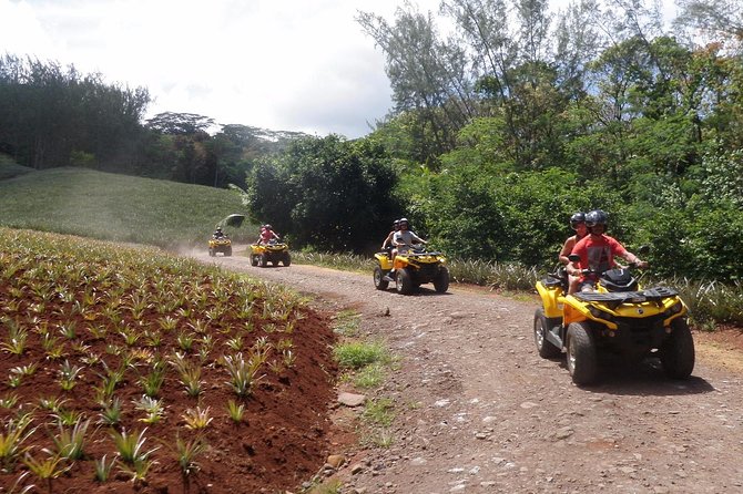 Grand Tour Quad Excursion in Moorea (Single or Two-Seater) - Stop 1: Opunohu Pineapple Country and a Quick Local Look