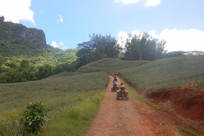 Grand Tour Quad Excursion in Moorea (Single or Two-Seater) - Stop 4: Magic Mountain Overlook for the Big Panoramic Moment