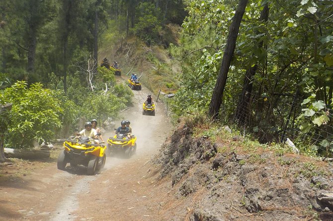 Grand Tour Quad Excursion in Moorea (Single or Two-Seater) - How the Quad Ride Feels: Safety First, Still a Real Adventure