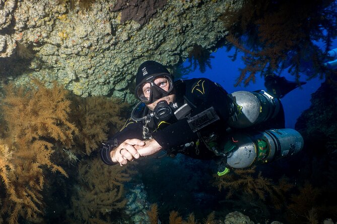Guided Boat Dives for Certified Divers - Morning Setup: Playa de las Américas to Los Cristianos Harbour