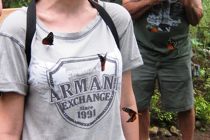 Guided Butterfly Conservatory Tour in Costa Rica - Getting There From Fortuna (and Why the Drive Matters)