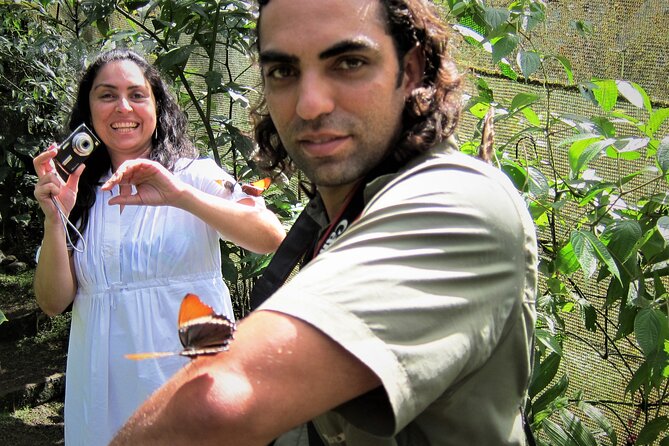 Guided Butterfly Conservatory Tour in Costa Rica - Time, Open Hours, and What a 2–3 Hour Visit Can Actually Fit