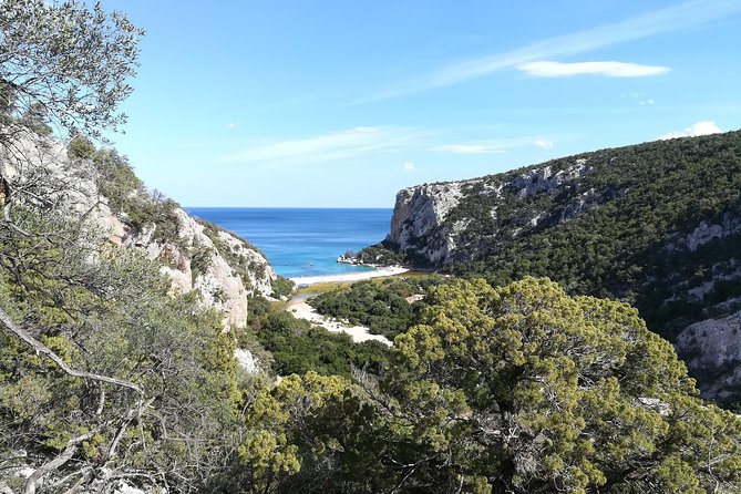 Guided hike to Cala Luna, the pearl of the Gulf of Orosei - Beach Time at Cala Luna: Lunch, Swim, and Photo Angles