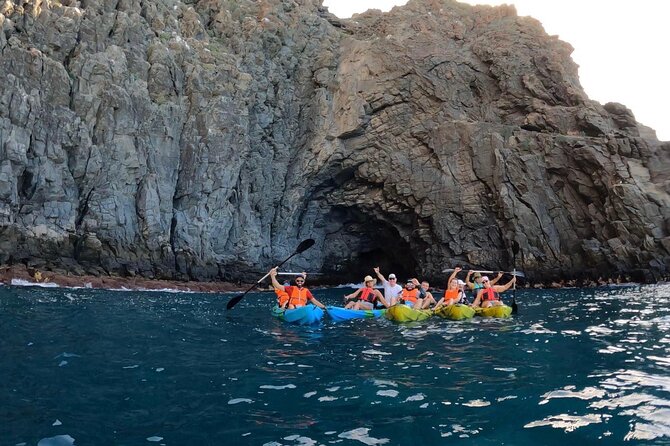 Guided Kayak Tour From Los Cristianos Beach Tenerife - The Fish Farm Paddle: Where Wildlife Odds Get Better