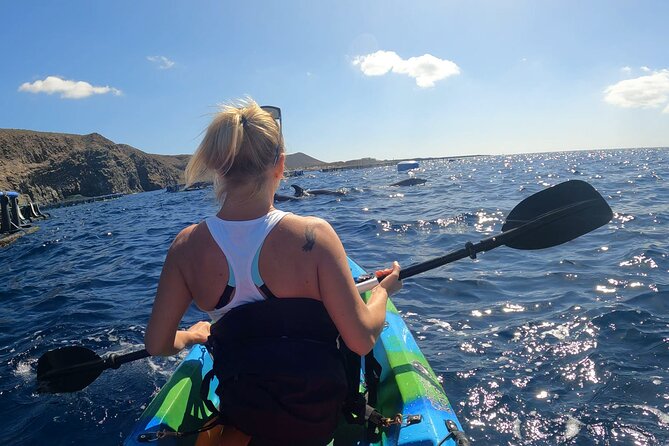 Guided Kayak Tour From Los Cristianos Beach Tenerife - Cueva del Palma: Crystalline Water and a View Framed by Guaza