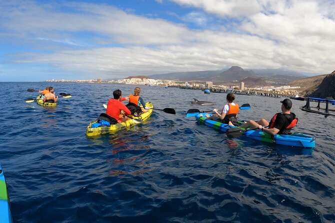 Guided Kayak Tour From Los Cristianos Beach Tenerife - Safety, Pacing, and the Small-Group Advantage (Max 12)