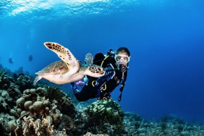 guided Scuba Diving on Tenerife (for certified divers) - Depth Matching: From -18 m Limits to -40 m