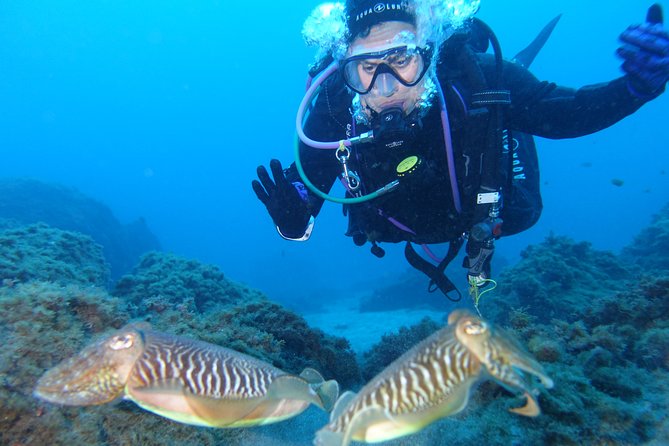 guided Scuba Diving on Tenerife (for certified divers) - Instructor Quality: Jasper and the Professional Vibe