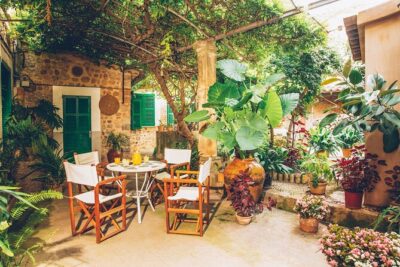 Guided Tasting Tour in 16th century House and Olive Oil Factory - Your 1-hour plan in Sóller: meeting, pacing, and timing