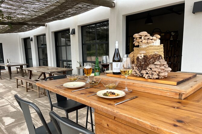 Guided tour and tasting in mushroom cultivation - Key highlights before you go