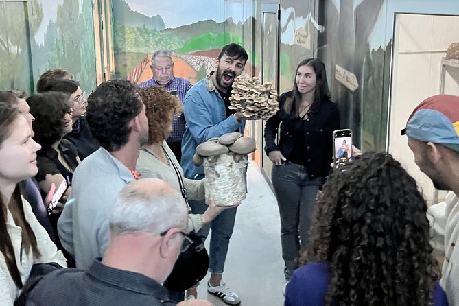 Guided tour and tasting in mushroom cultivation - Tasting session: boletes-style snacks, island pairings, and unusual prep