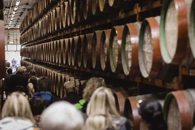 Guided Tour at Ron Arehucas Distillery - Key things you’ll notice on this Arehucas rum tour