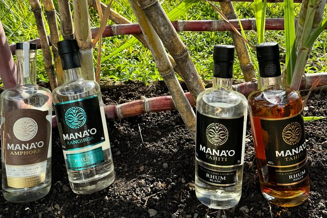Guided tour of the island and its escapades in Tahaa by Quad / ATV - Hipu Plantations and Marae Vaima’i Water Spring: Inland History Stops