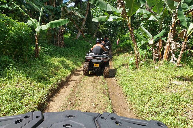 Guided tour of the island and its escapades in Tahaa by Quad / ATV - The Patio Tasting: Tropical Fruits and Frozen Coconuts