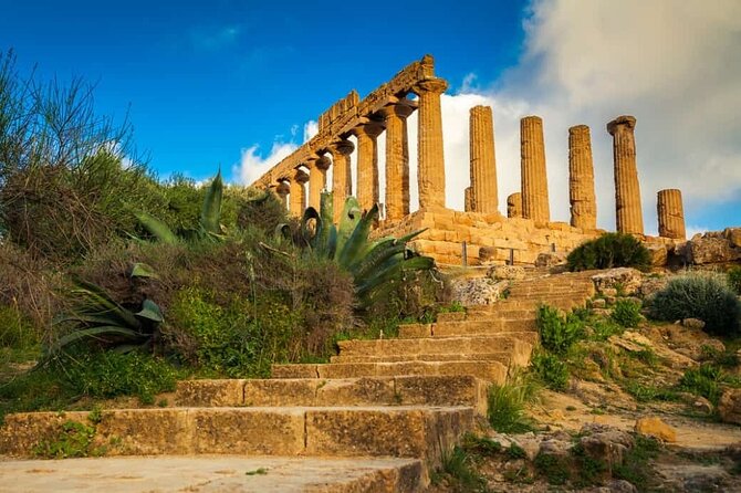 Guided tour of the Valley of the Temples in Agrigento - Meeting at the Tempio di Giunone ticket office without stress