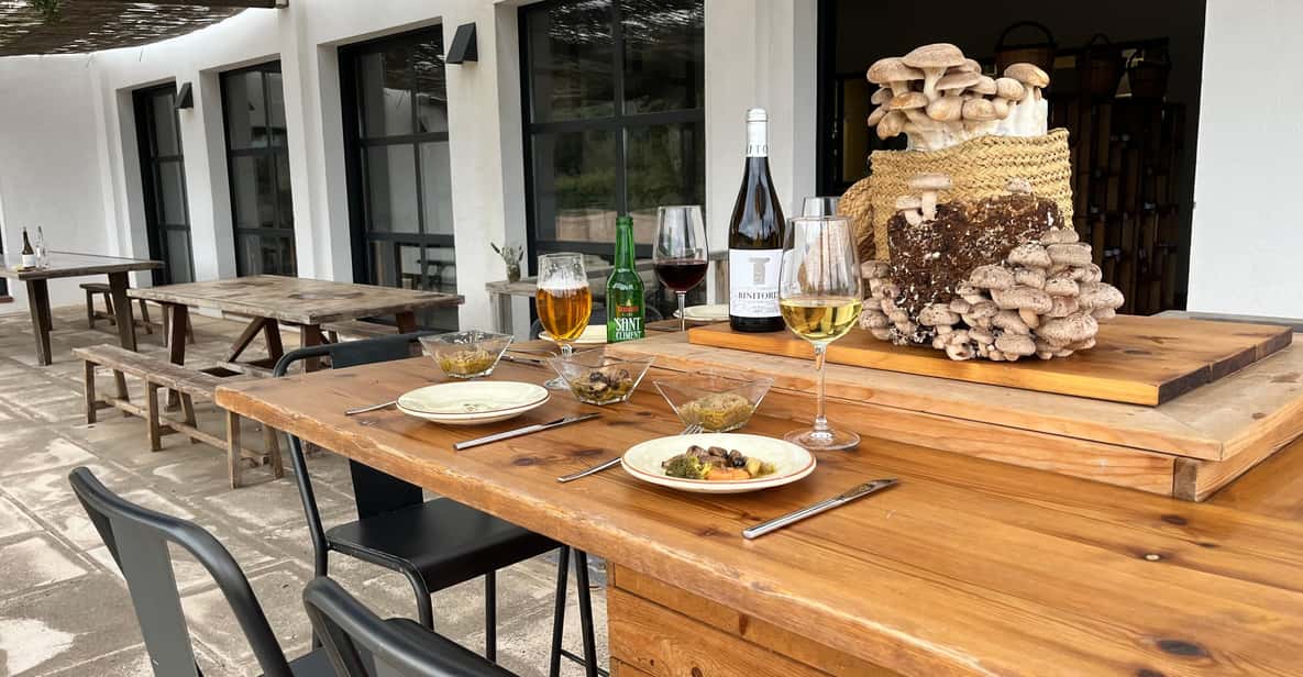 GUIDED TOUR + TASTE IN A MUSHROOM FARM - Quick highlights you’ll care about