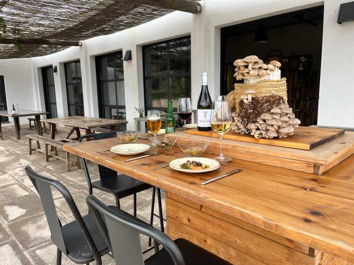 GUIDED TOUR + TASTE IN A MUSHROOM FARM - Menorca’s mushroom farm feels like an indoor adventure