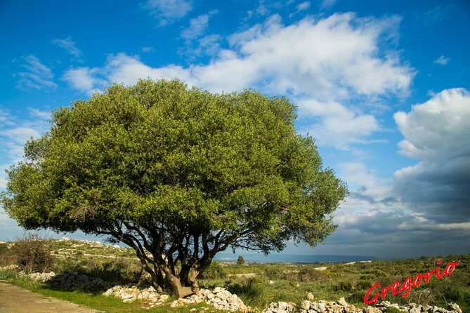 Guided Trekking to Cavagrande del Cassibile in Sicily - Timing and comfort: what to wear for a 3-hour canyon trek