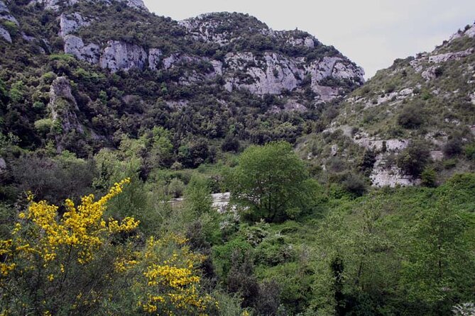 Guided Trekking to Cavagrande del Cassibile in Sicily - Price and value: what $65.35 buys you here