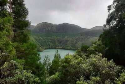 Guided Visit to the Crater and Volcano of Lagoa das Sete Cidades - The pineapple greenhouse stop: more than a quick photo stop