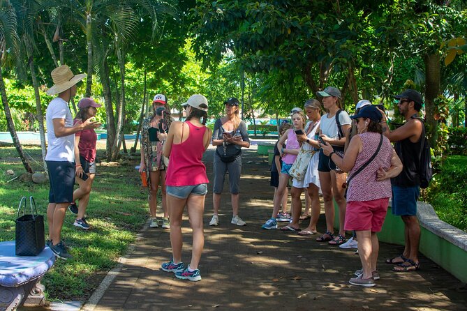 Guided Walking Street Art & Graffiti Tour in Jaco Costa Rica - Pace, comfort, and what to wear so you enjoy the whole walk