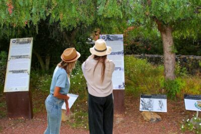 Guïmar: Pyramids of Güímar Ethnographic Park Entry Ticket - Walking the 64,000 m² park: trails, museum rooms, and botanical gardens