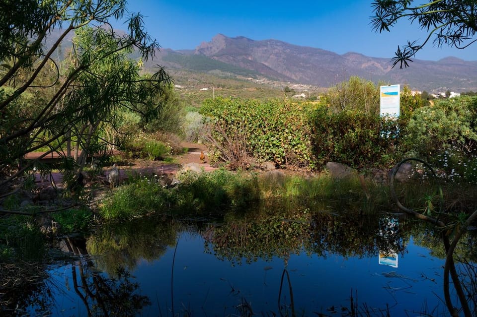 Guïmar: Pyramids of Güímar Ethnographic Park Entry Ticket - What to bring and how to plan your day on Tenerife