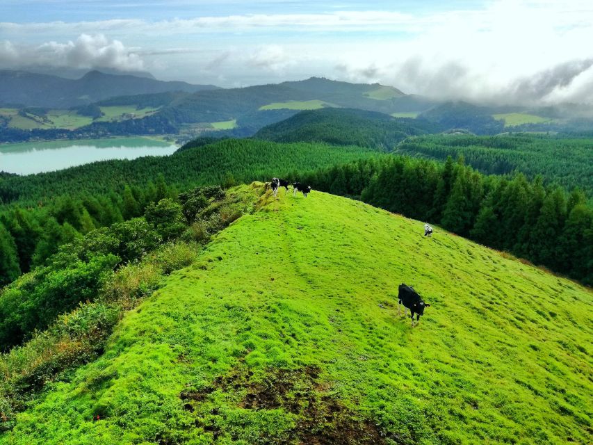 Half-Day 4X4 Tour Sete Cidades. Off the beaten Track. - What to Bring for a Dirt-Road Half-Day