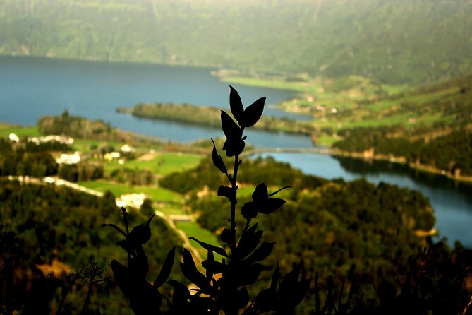 Half-Day 4x4 Tour to Lagoa das Sete Cidades - Stop 3: Ridge Viewpoint for the Opposite Perspective