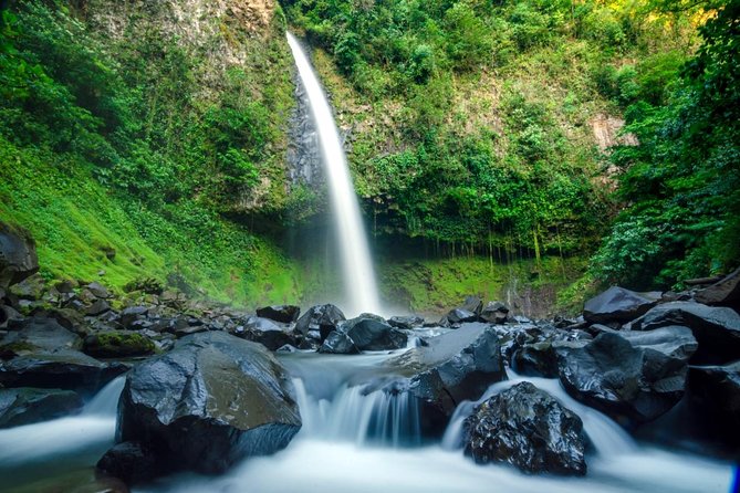 Half Day Adventure from Arenal -2 tours in 1, 4 options to choose - Arenal Hanging Bridges: a rainforest walk that keeps paying you back