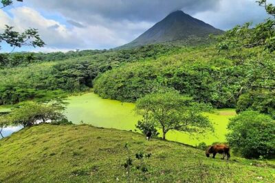 Half Day Adventure from Arenal -2 tours in 1, 4 options to choose - Mirador El Silencio: lava trails and the best Arenal cone views
