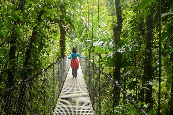 Half Day Adventure from Arenal -2 tours in 1, 4 options to choose - Group size, pace, and what makes the guides matter