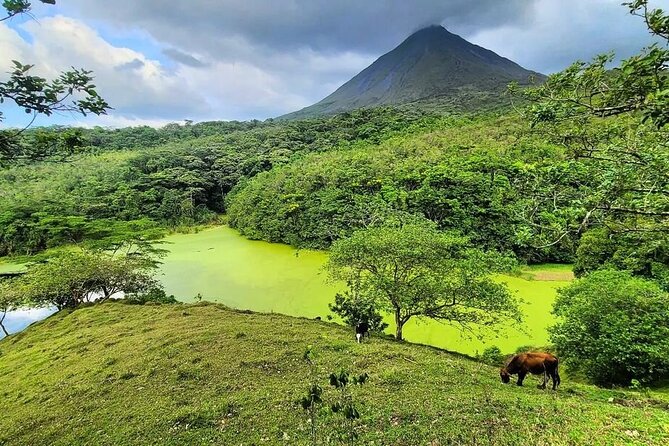 Half Day Adventure from Arenal -2 tours in 1, 4 options to choose - Mirador El Silencio: lava trails and the best Arenal cone views