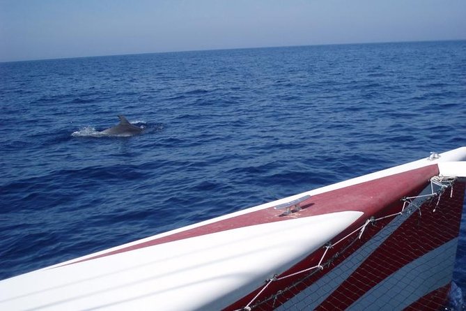 Half-Day Catamaran Trip in Menorca - Price and value: what $84.48 really buys you