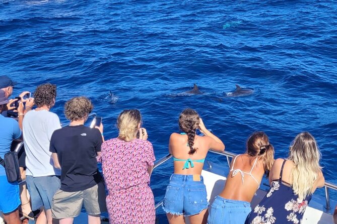 Half-Day Cruise Tour-Dolphin and Whale Watching - Puerto Rico Marina: where the half-day cruise starts