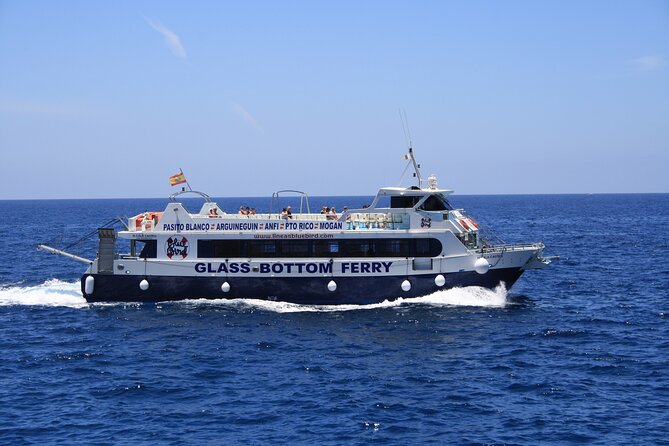 Half-Day Cruise Tour-Dolphin and Whale Watching - Price and value: $44.65 for wildlife time plus a swim stop