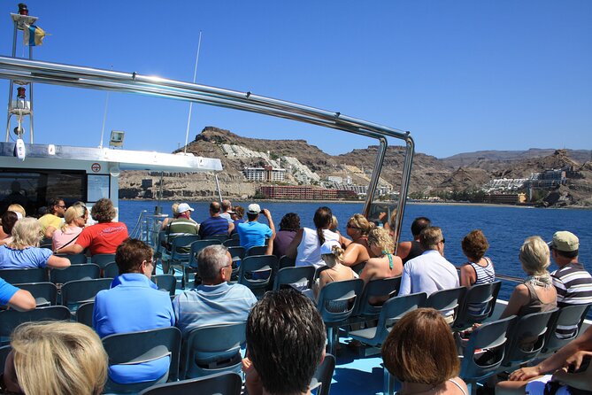 Half-Day Cruise Tour-Dolphin and Whale Watching - Quick packing checklist for a smooth morning at sea