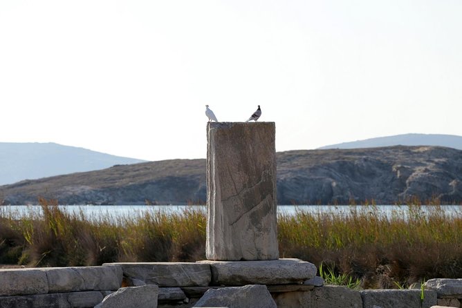 Half-Day Delos Tour from Mykonos - Museum time: good to include, but plan for tradeoffs
