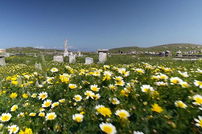 Half-Day Delos Tour from Mykonos - Price and value: $72.41 plus the cash admission reality