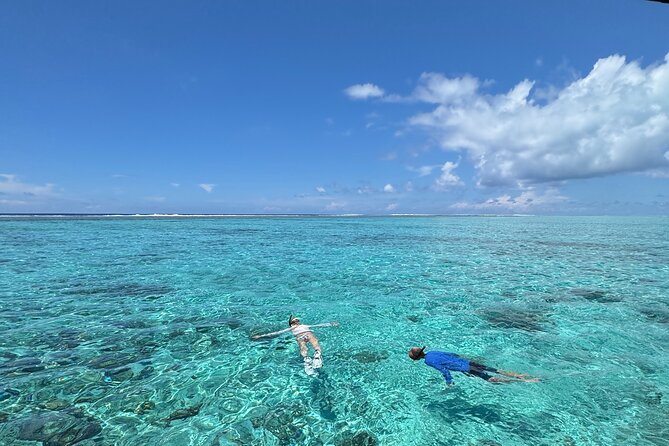 Half day Eco Snorkeling small group Tour in Bora Bora - Key Things That Make This Bora Bora Snorkel Worth Your Time