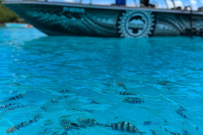 Half day Eco Snorkeling small group Tour in Bora Bora - Stop-By-Stop Snorkeling: How the Trip Keeps Things Interesting