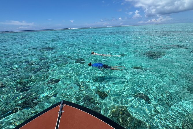 Half day Eco Snorkeling small group Tour in Bora Bora - Snacks, Soft Drinks, and the Half-Day Rhythm